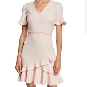 Shoshanna Pink Ruffle Maxi Dress